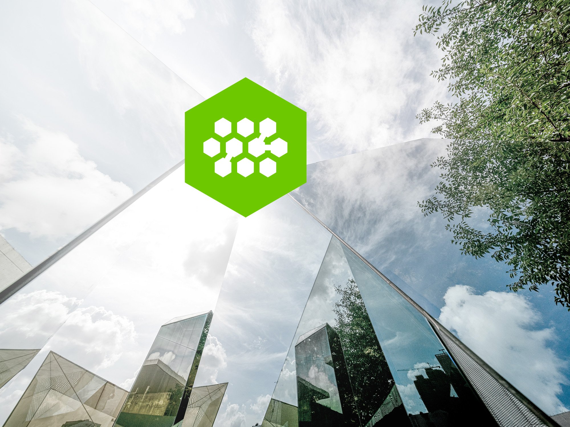 MM-20109-website-building-ecosystem-1-2000x1500-1-